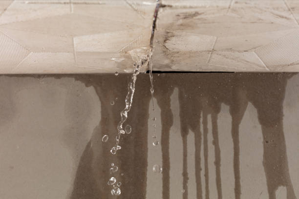 Professional Water Extraction technician working in O'Fallon, IL
